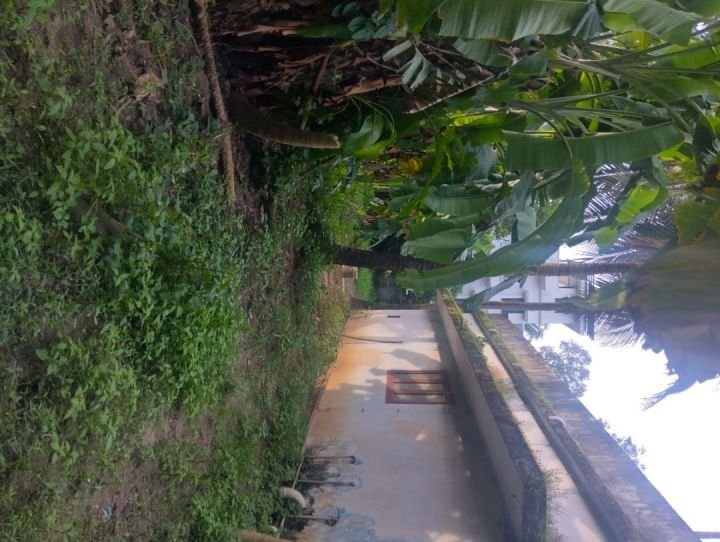 Land for sale in Tripunithura, kochi