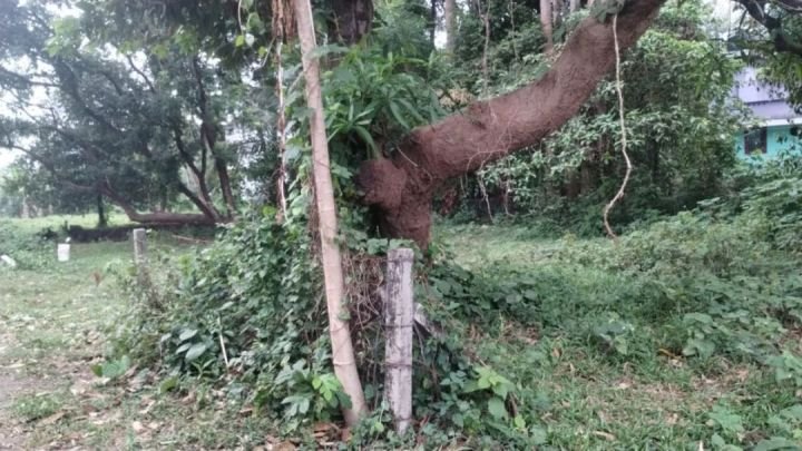 Residential land 10 cents for sale in Elookkara,Kadungallor, Near