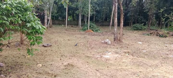 30 cents Residential land