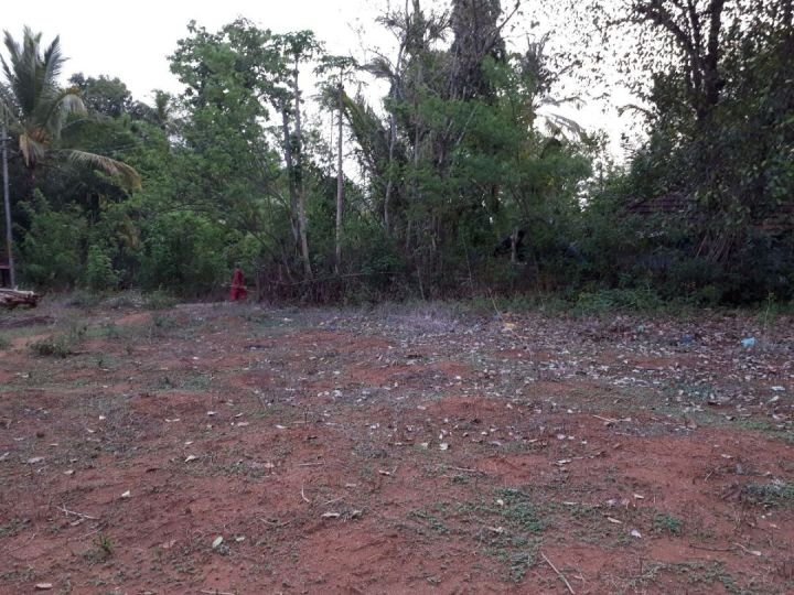 PLAIN LAND 33.25 FOR SALE