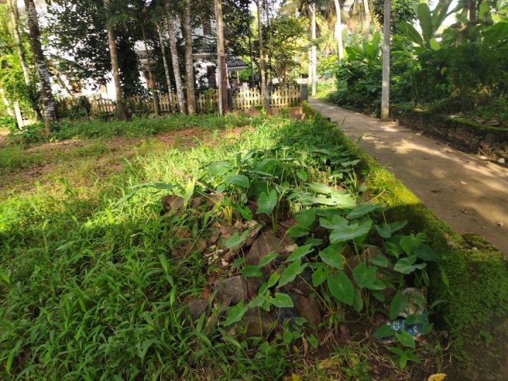 16 cent Property for sale in neendoor pravattom kottayam.