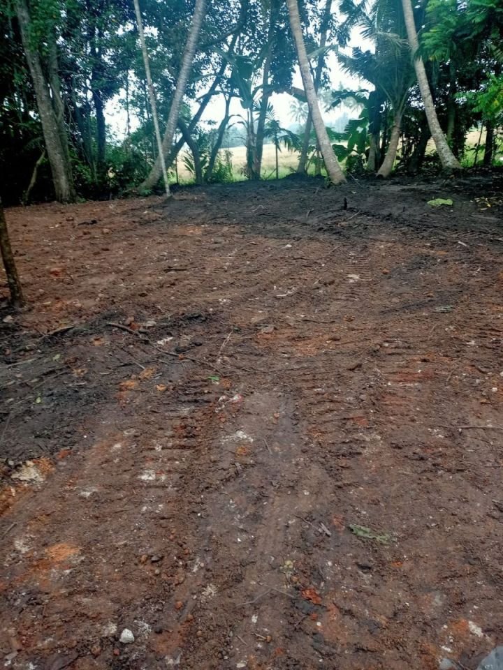 Property for sale in Purakkad Alappuzha (15 cent)