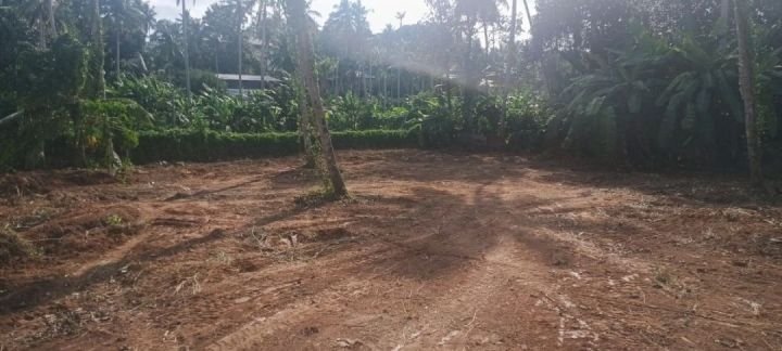 Residential property for Sale, Vayalikkada, Vattiyoorkavu
