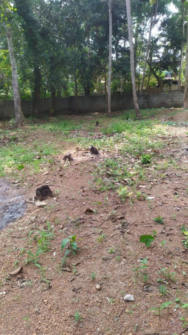 Housing plot for sale, in Thirumala, Trivandrum