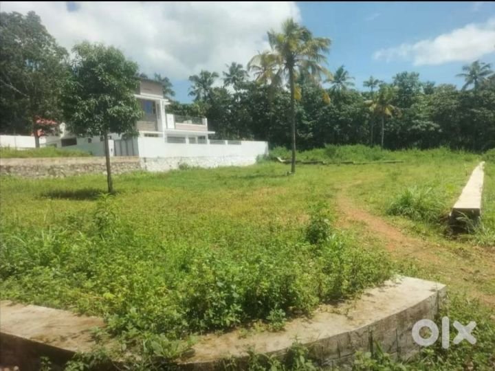 Near Star Hospital Panayil kulam
