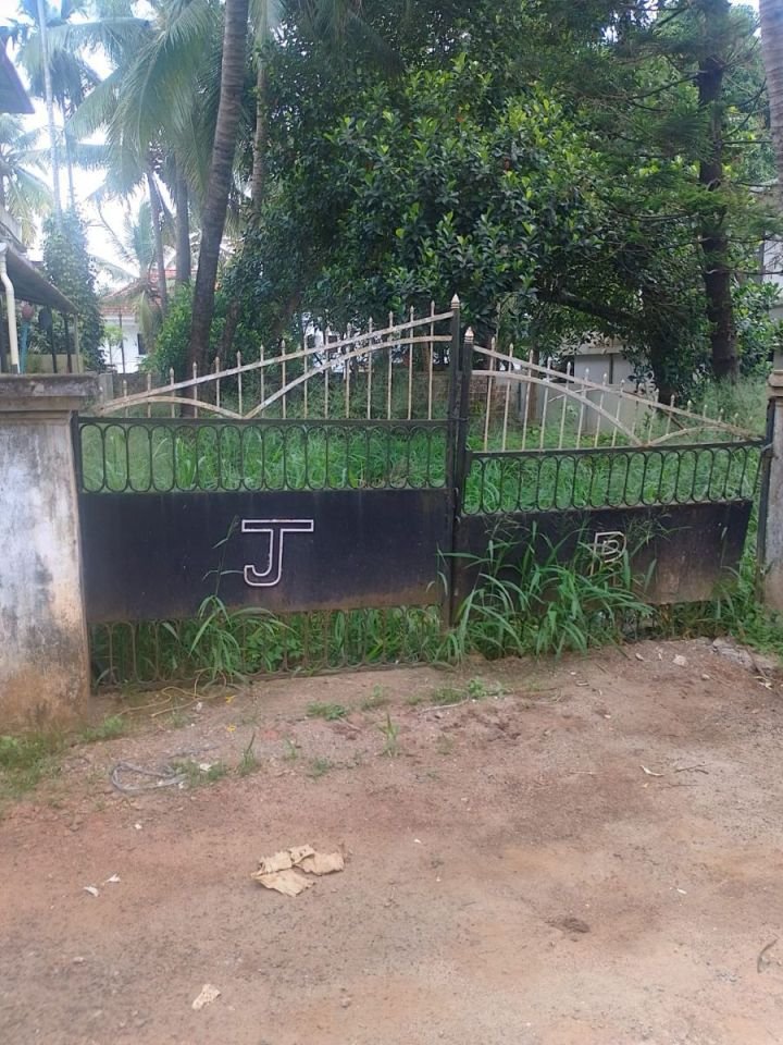 7.5 & 8.5 Cent Residential Land for Sale in Nellikunnu, Thrissur