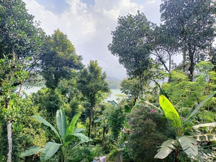 Rare Wayanad Investment | 50 Cents | Waterfront & Mountain Views | Luxury Resort Zone
