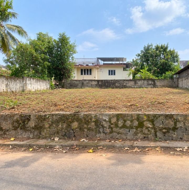 15 Cent Commercial & Residential Plot for Sale – Avenue Road, Thrissur