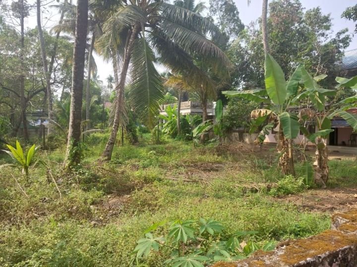 8 CENT LAND FOR SALE IN VARAPUZHA