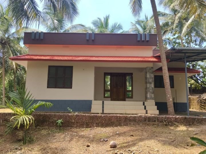 House + Fruit Garden Land, 40 cents, Periye, Kanhangad