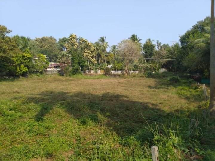 Parambu Housing plot for sale