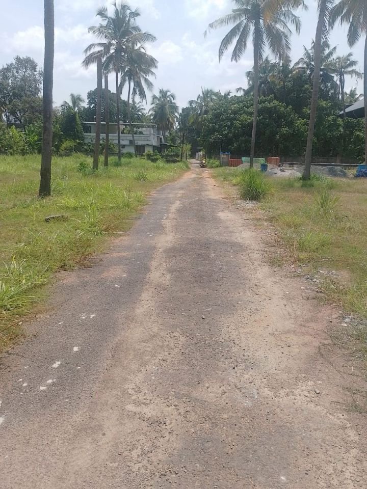 Residential Plots for Sale in Puranattukara, Thrissur