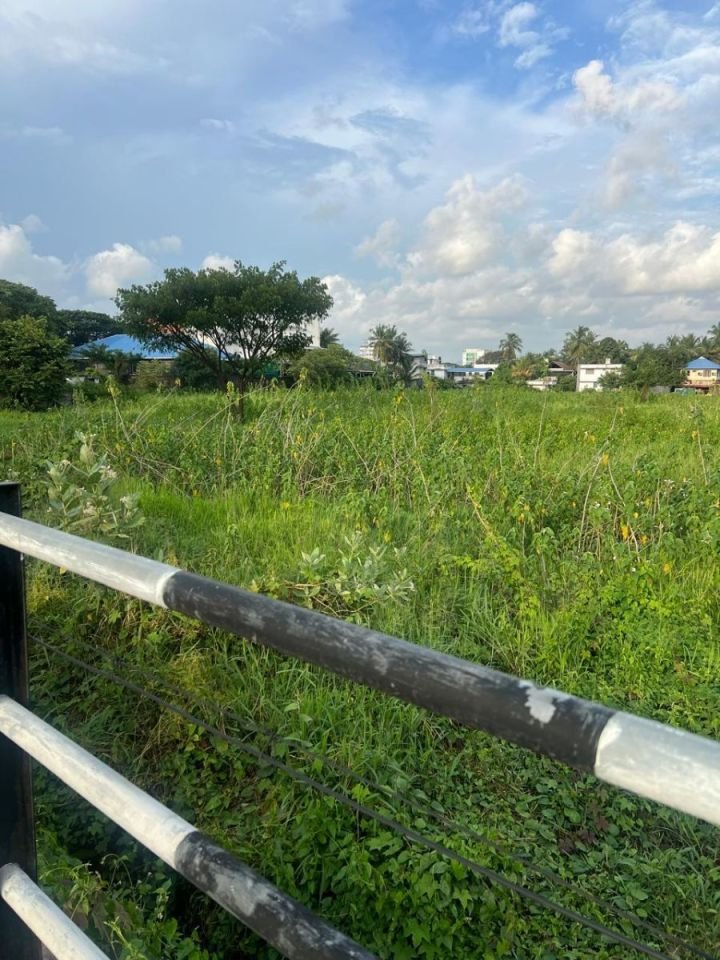 5.5 Acres Commercial Land for Sale – Kolothumpadam, Peringav, Thrissur