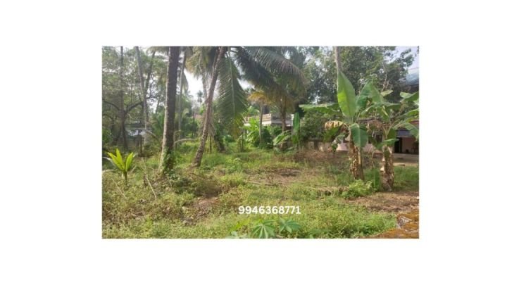 ? വരാപ്പുഴയിൽ വീടുവെക്കാൻ അനുയോജ്യമായ പ്ലോട്ട് വിൽപ്പനയ്ക്ക്!