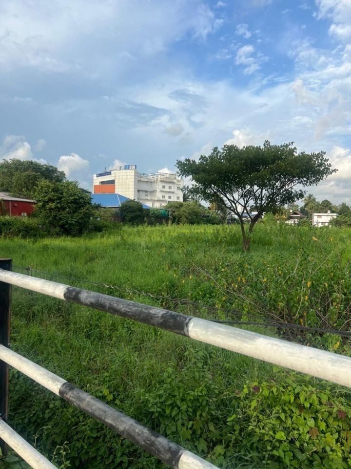 5.5 Acres Commercial Land for Sale – Kolothumpadam, Peringav, Thrissur