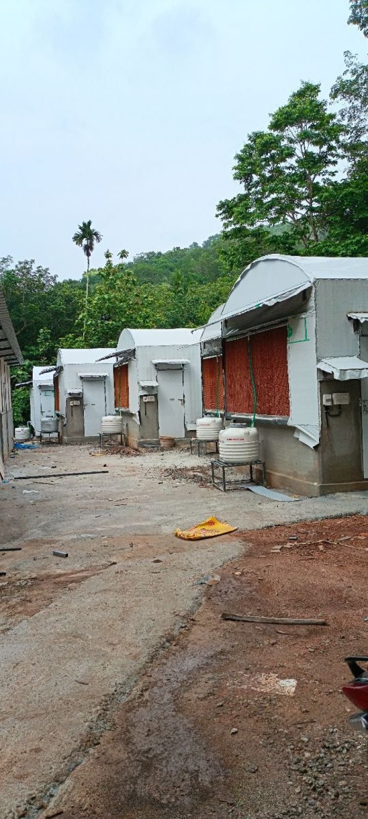 LARGEST OYSTER MUSHROOM FARM IN THIRUVANANTHAPURAM