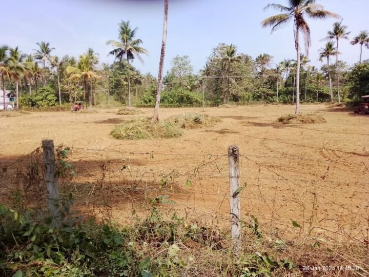 CHALAKUDY LAND FOR SALE (FULL/ SMALLER PLOTS)