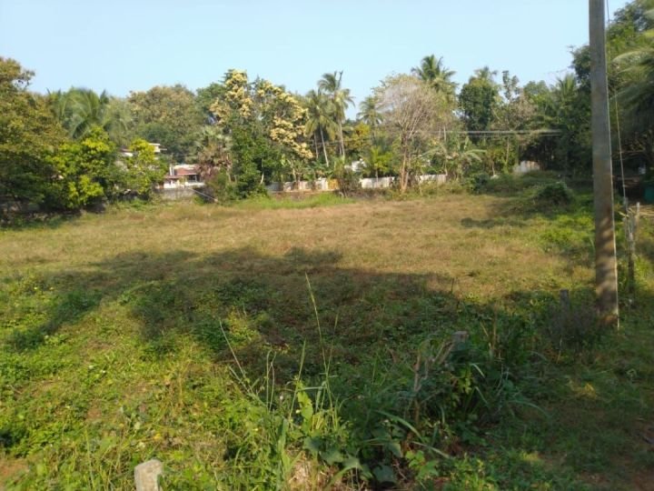 Parambu Housing plot for sale