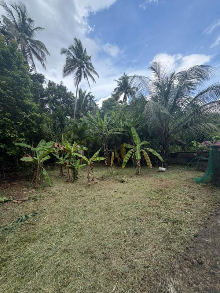 Residential Land- 7.50 Cents For sale in Kuttoor, Naithalakkavu, Thrissur