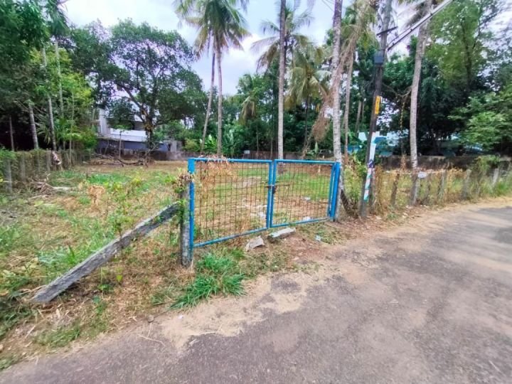 Residential Land-22 cent for Sale in Kuttanellur , Thrissur