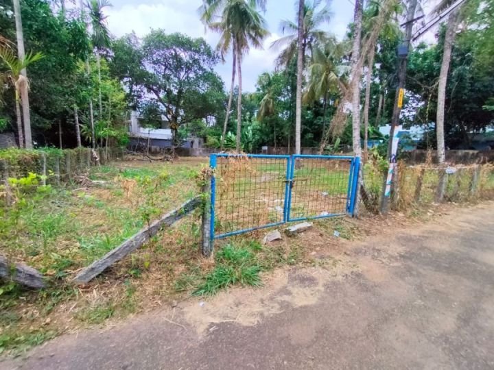 Residential Land-22 cent for Sale in Kuttanellur , Thrissur