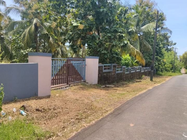 House + Fruit Garden Land, 40 cents, Periye, Kanhangad