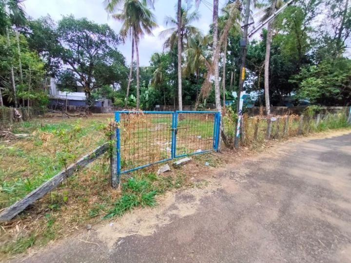 Residential Land-22 cent for Sale in Kuttanellur , Thrissur