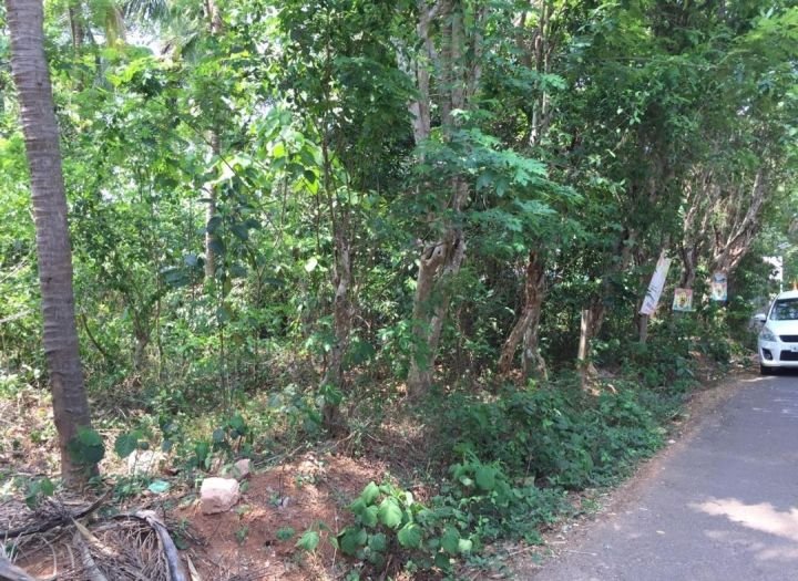 35 cents plot for sale in Karikkad