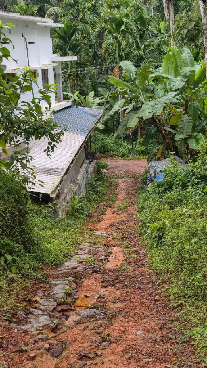 ? 20 Cent Residential Land for Sale