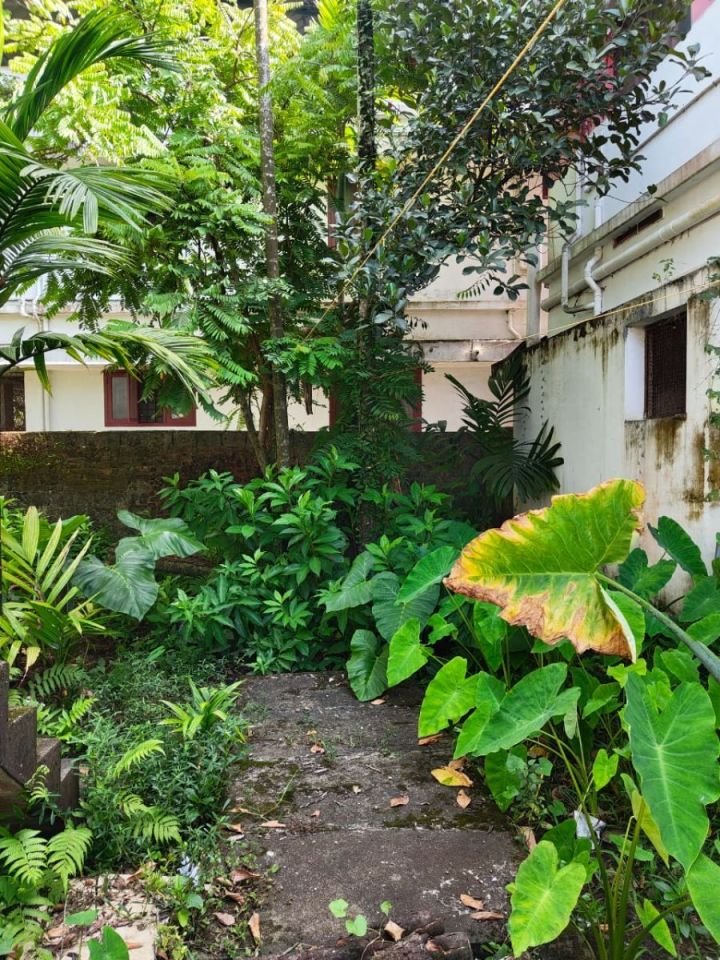8 Cent North Facing Residential Plot for Sale in South Chittoor