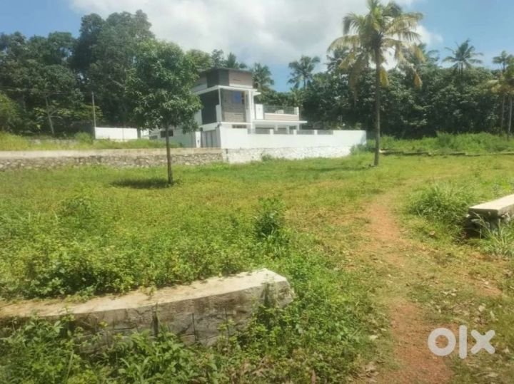 Near Star Hospital Panayil kulam