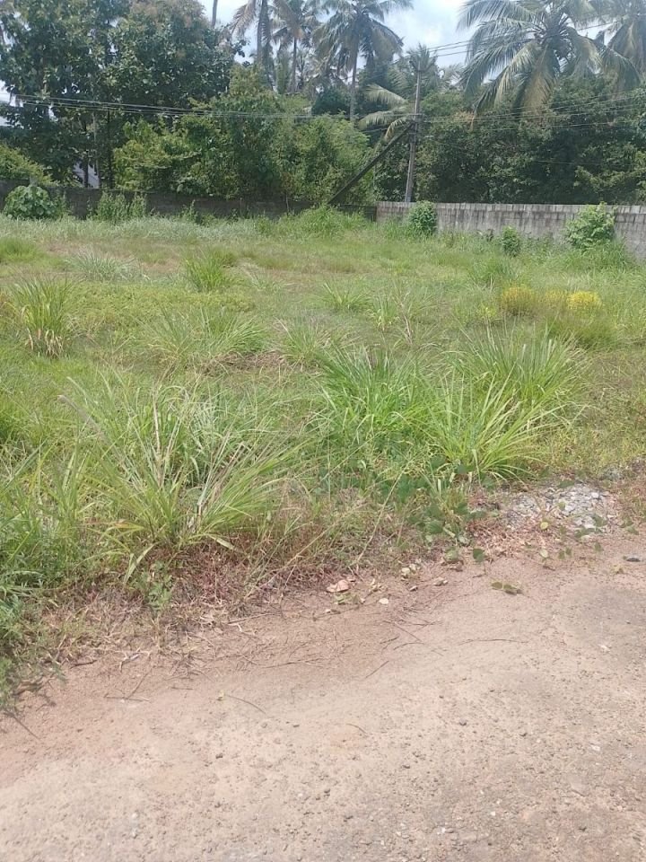 Residential Plots for Sale in Puranattukara, Thrissur