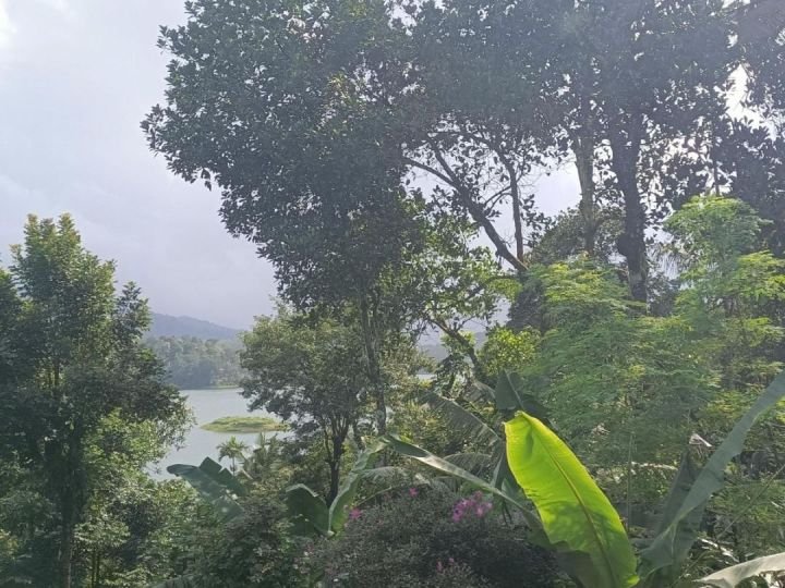 Rare Wayanad Investment | 50 Cents | Waterfront & Mountain Views | Luxury Resort Zone