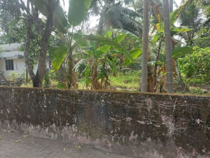 8 CENT LAND FOR SALE IN VARAPUZHA