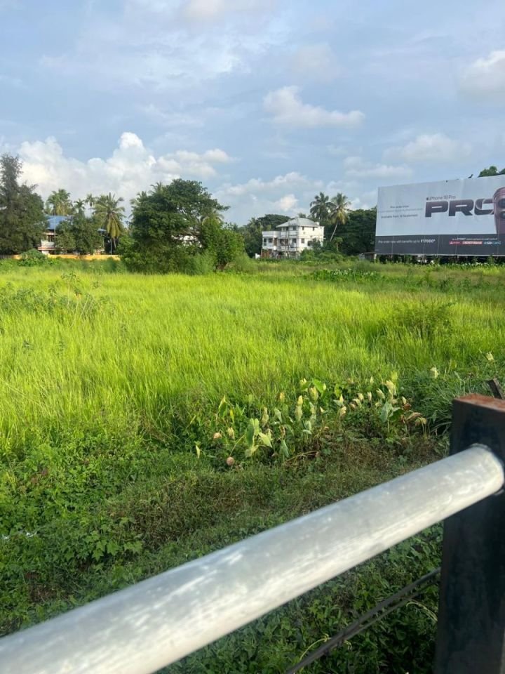 5.5 Acres Commercial Land for Sale – Kolothumpadam, Peringav, Thrissur