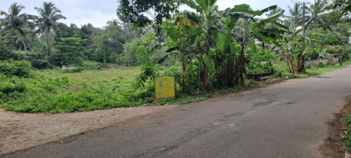 Parambu Housing plot for sale