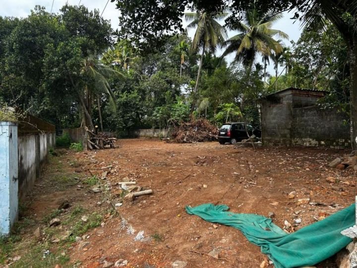 20 Cent Land for Sale in Aluva – 3, 6 & 10 Cent Options Available