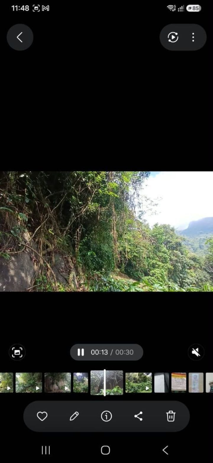 Land ideal for resorts in Kakkadam poyil