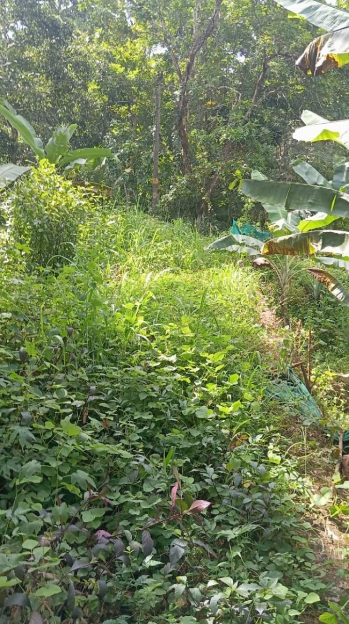 ? സ്ഥലം വിൽപ്പനയ്ക്ക് – കൊളമ്പലം, എടവണ്ണപ്പാറ