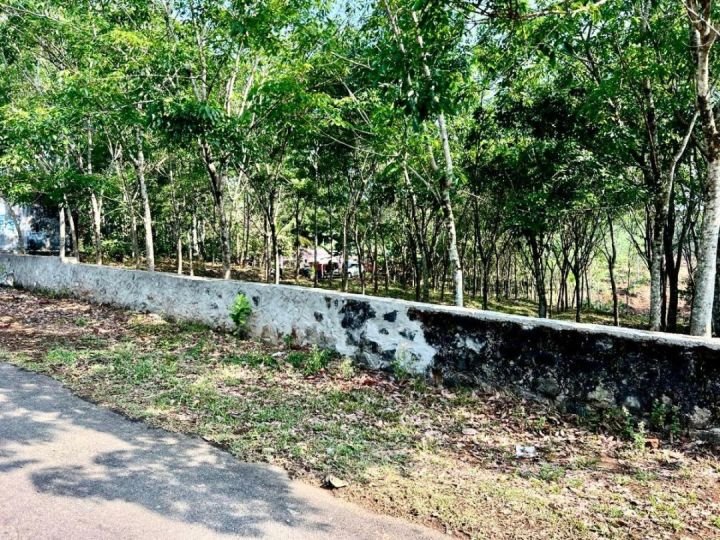 Residential land for sale