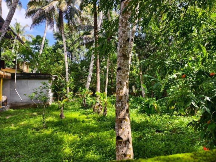 75 cents of plot for sale in Cheppad