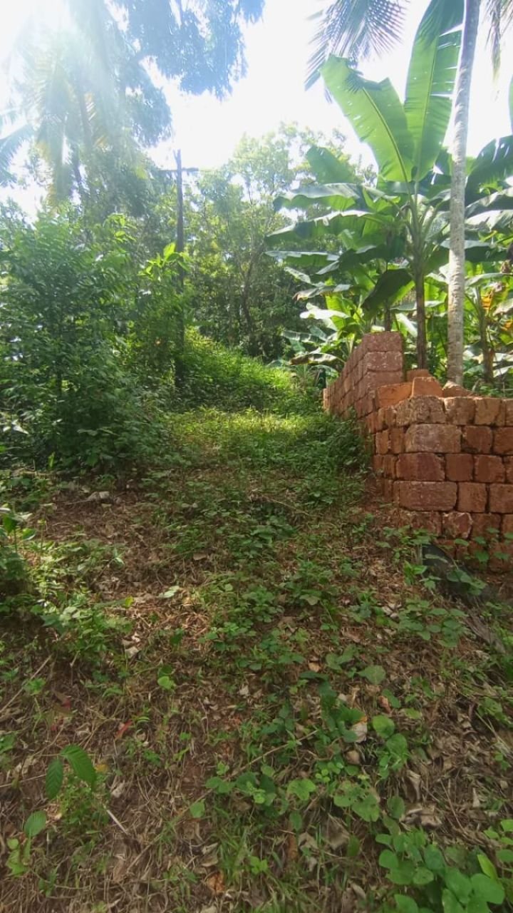 ? സ്ഥലം വിൽപ്പനയ്ക്ക് – കൊളമ്പലം, എടവണ്ണപ്പാറ