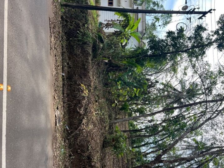 20 Cent Housing Plot in Thadikkadavu