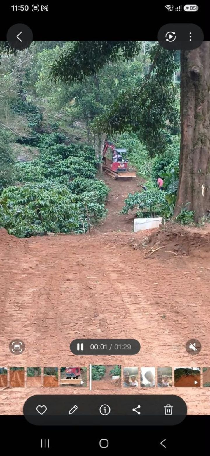 Land ideal for resorts in Kakkadam poyil