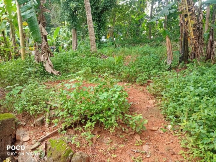 11.25 cents: Residential Land for sale