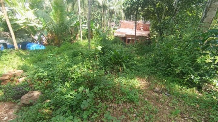 ? സ്ഥലം വിൽപ്പനയ്ക്ക് – കൊളമ്പലം, എടവണ്ണപ്പാറ