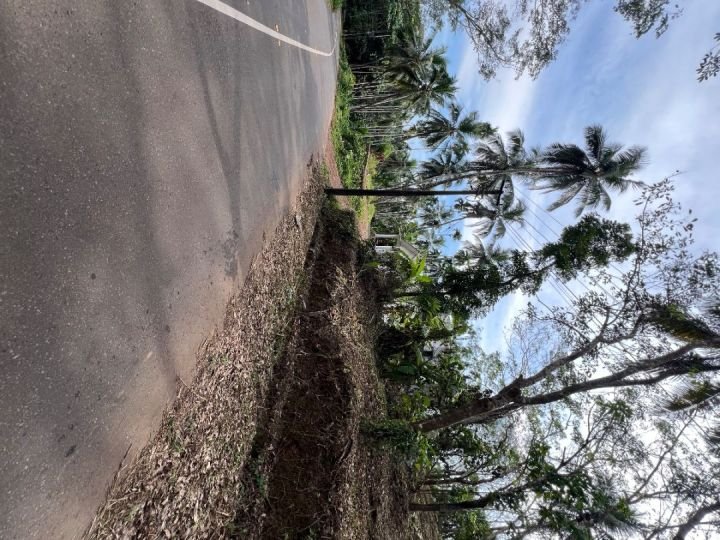 20 Cent Housing Plot in Thadikkadavu