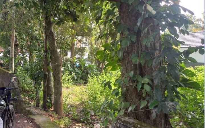 Residential Plot for Sale- Thiruvalla