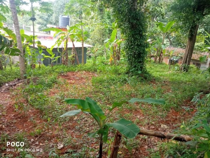 11.25 cents: Residential Land for sale