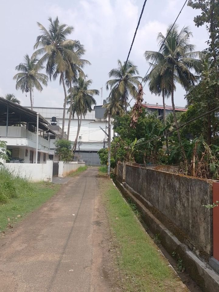 Land for Sale in Kuttanellur, Thrissur